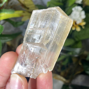 Selenite- True Selenite Blade Mineral Specimens! (A310/A317/A319)