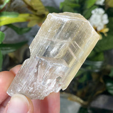 Load image into Gallery viewer, Selenite- True Selenite Blade Mineral Specimens! (A310/A317/A319)