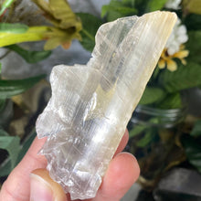 Load image into Gallery viewer, Selenite- True Selenite Blade Mineral Specimens! (A310/A317/A319)