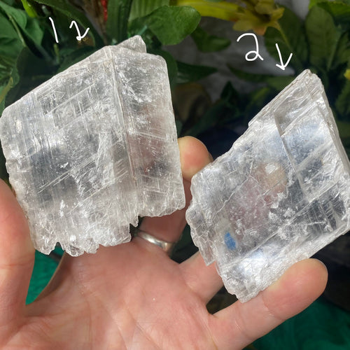 Selenite (True Selenite) – Enchanted Earth Minerals