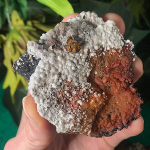 Hematoid Quartz Clusters Super Sweet Mineral Display Specimens!