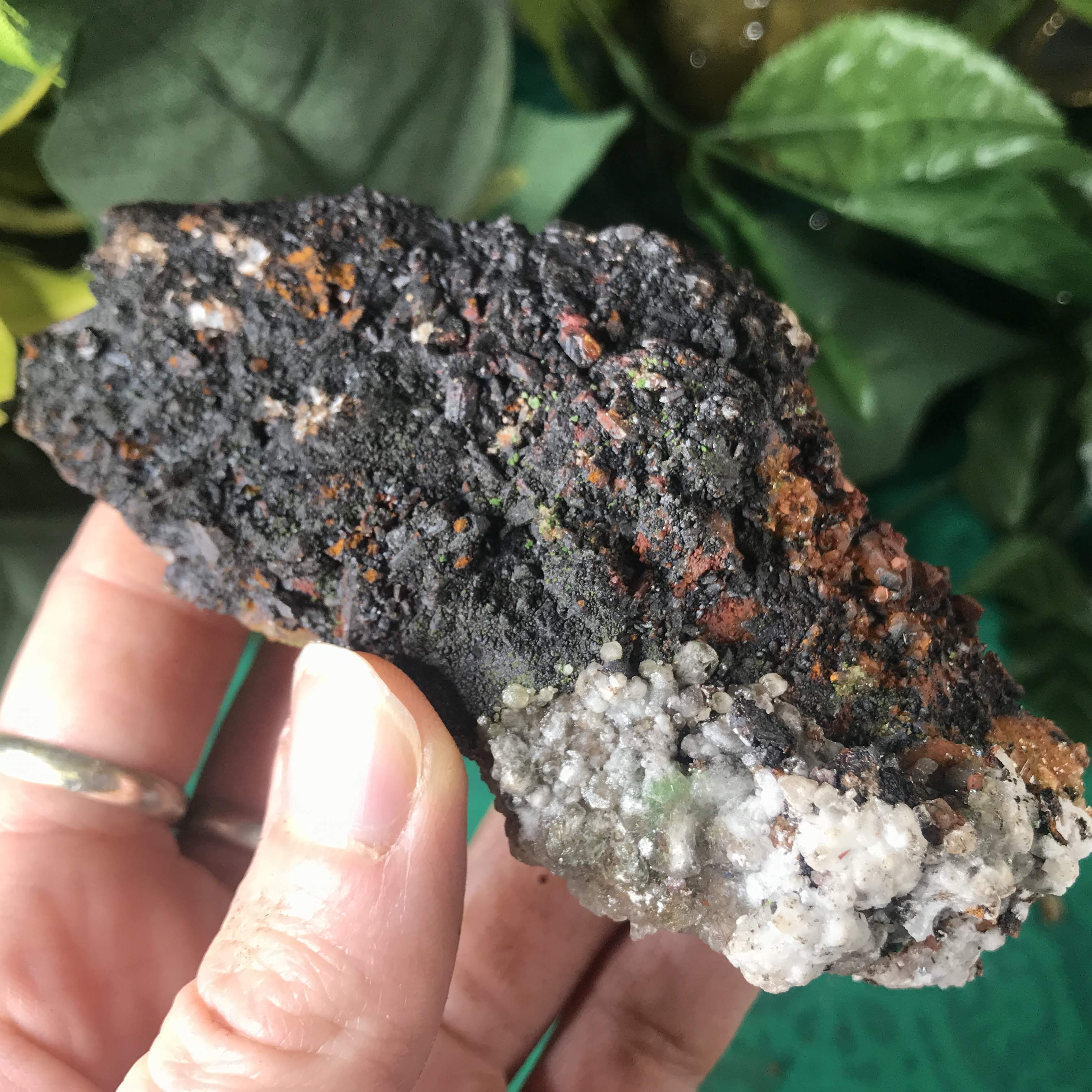 Enchanted Earth Minerals