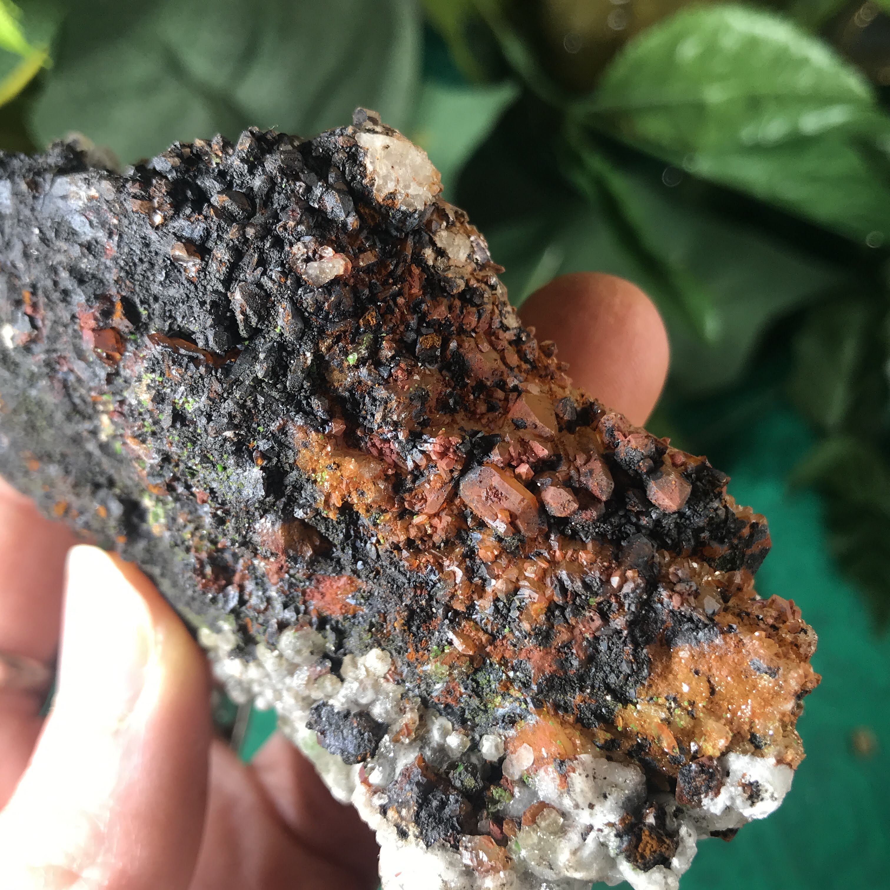 Enchanted Earth Minerals