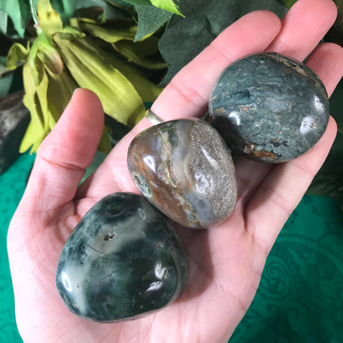 Ocean Jasper Palm Stones! (Small)
