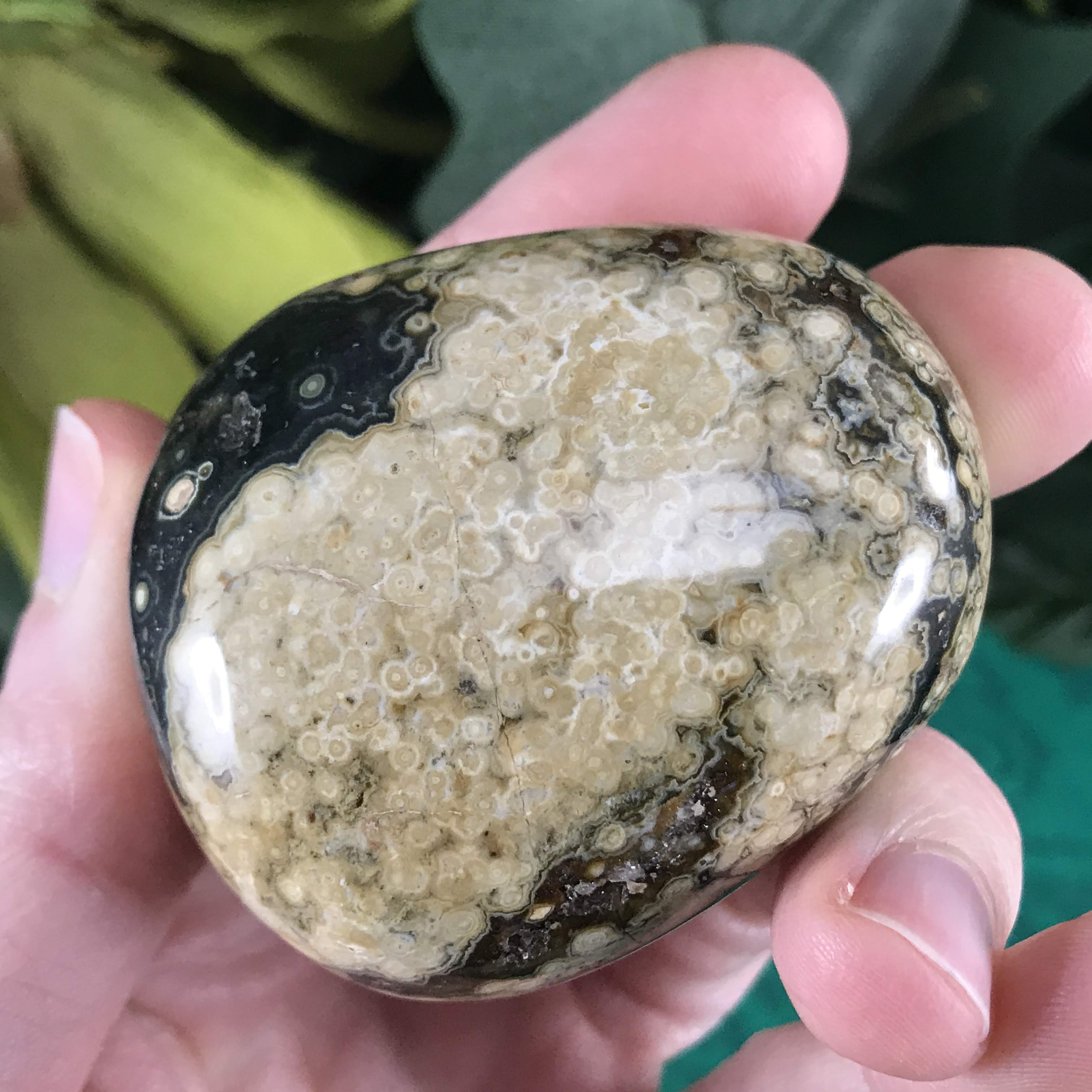 Ocean Jasper Palm Stones! (Medium)