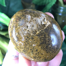 Load image into Gallery viewer, Ocean Jasper Palm Stones! (Large)