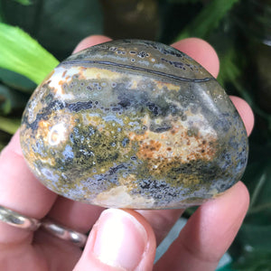 Ocean Jasper Palm Stones! (Large)