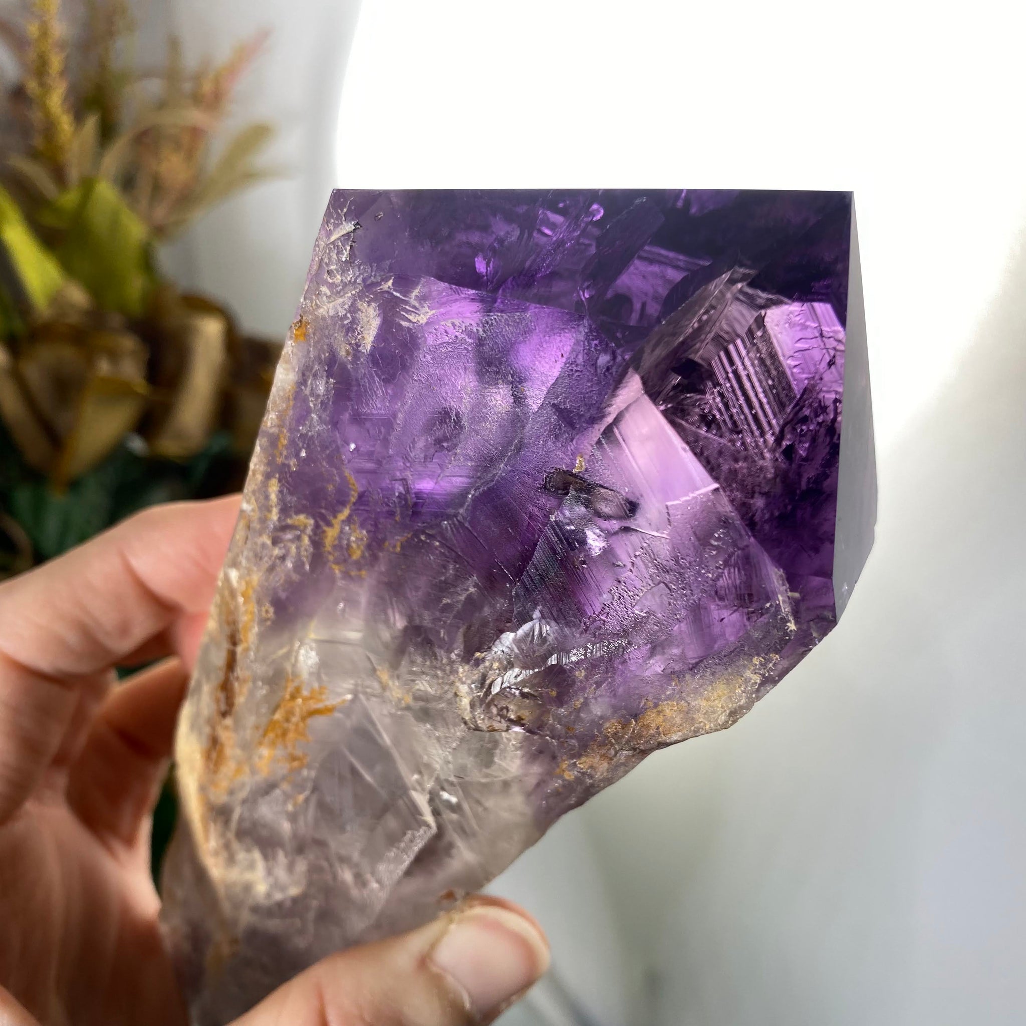 Bahia Amethyst Elestial Root – AURA salt cave and wellness