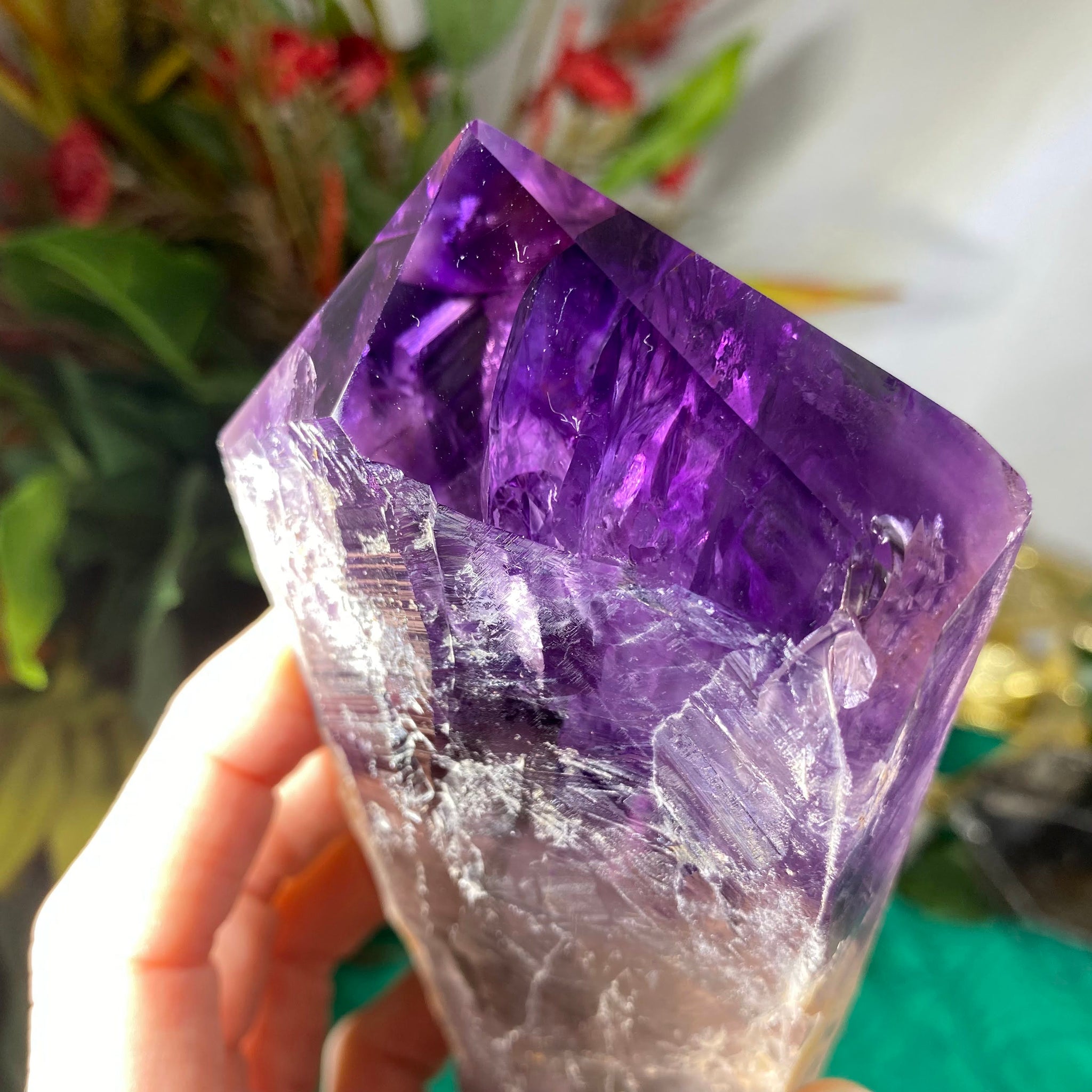 Bahia Amethyst Elestial Root – AURA salt cave and wellness