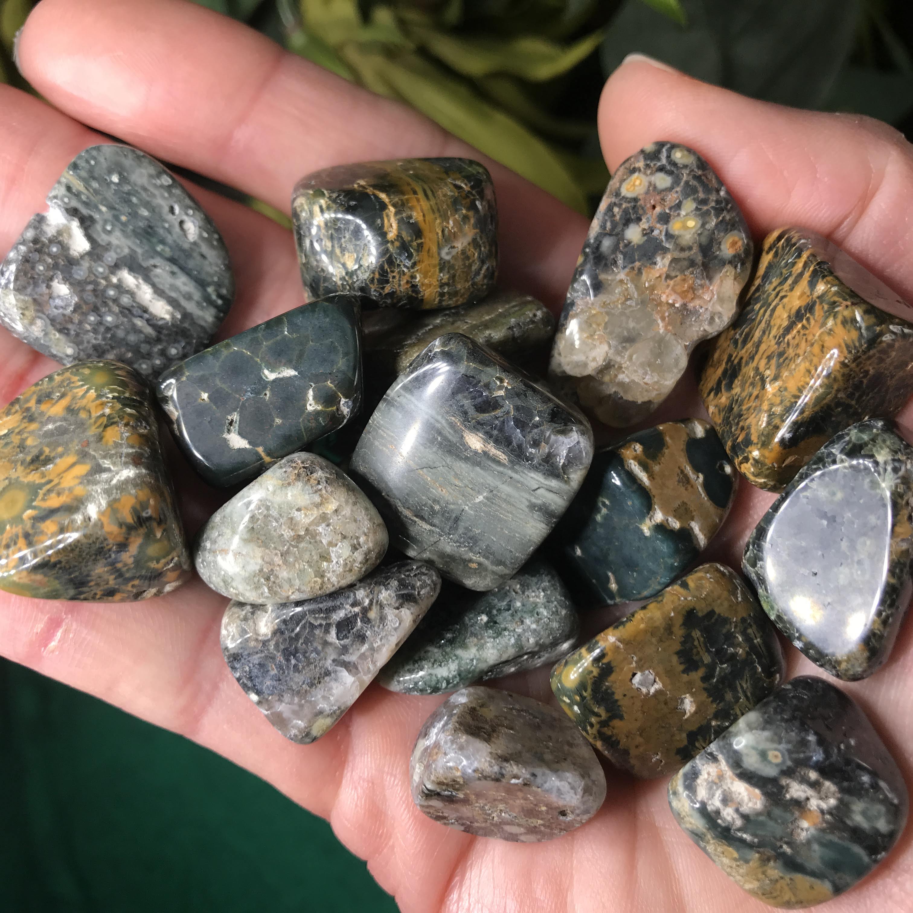 Ocean Jasper Small Tumbles!