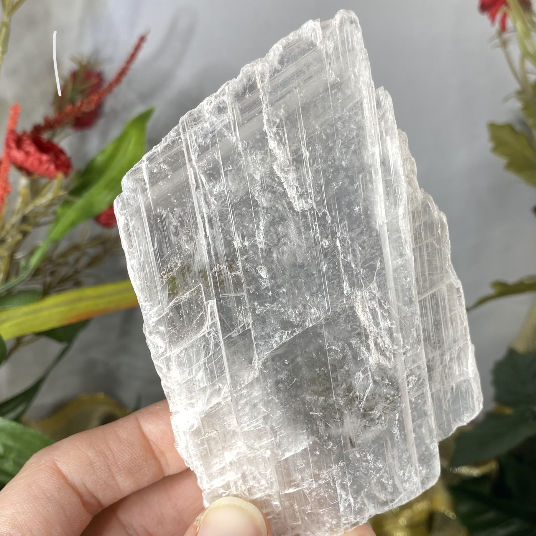 Selenite- True Selenite Blade Mineral Specimens! (C185/C187)