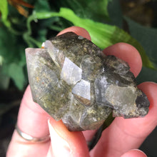 Load image into Gallery viewer, Lodolite / Shamanic Dream-Stone / Scenic Quartz Large Incredible Cluster!