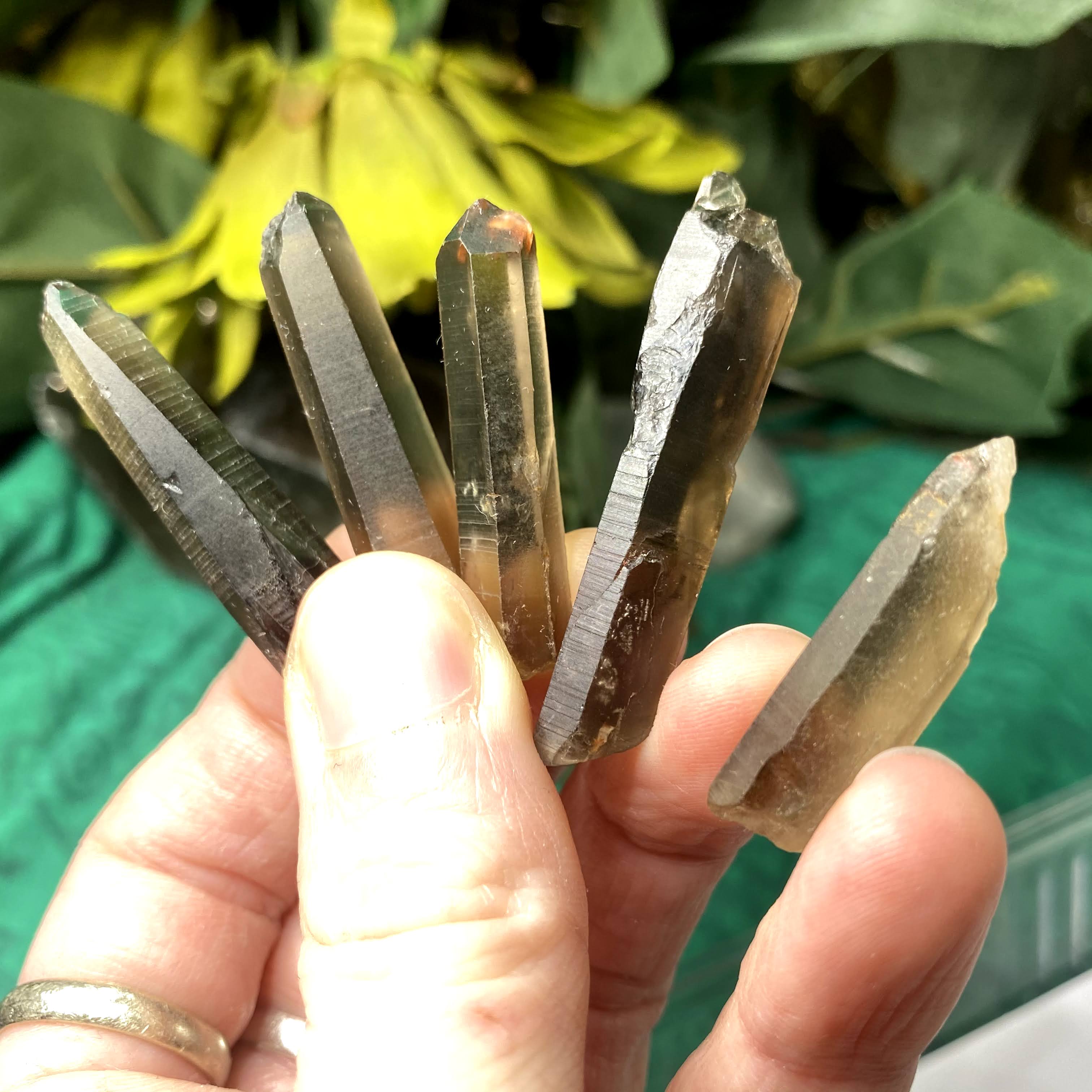 Smokey Quartz - Raw Smokey Quartz Points "Misfits" set! (A619)