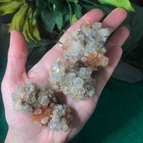 Aragonite- Bi-Colored Blue & Red Aragonite Star Clusters Small!