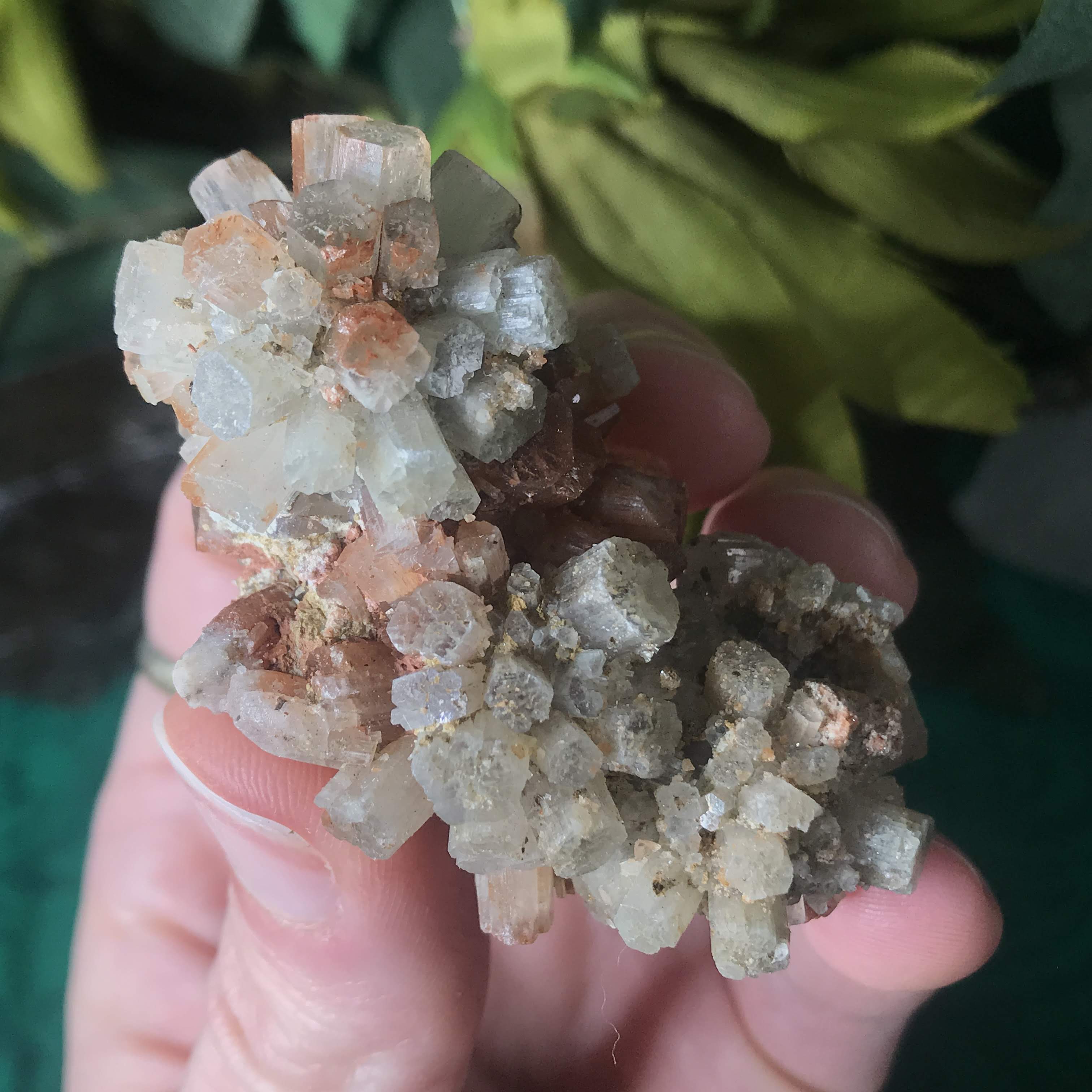 Aragonite- Bi-Colored Blue & Red Aragonite Star Clusters Small!