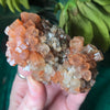 Aragonite- Bi-Colored Blue & Red, & Red Aragonite Star Clusters Medium!