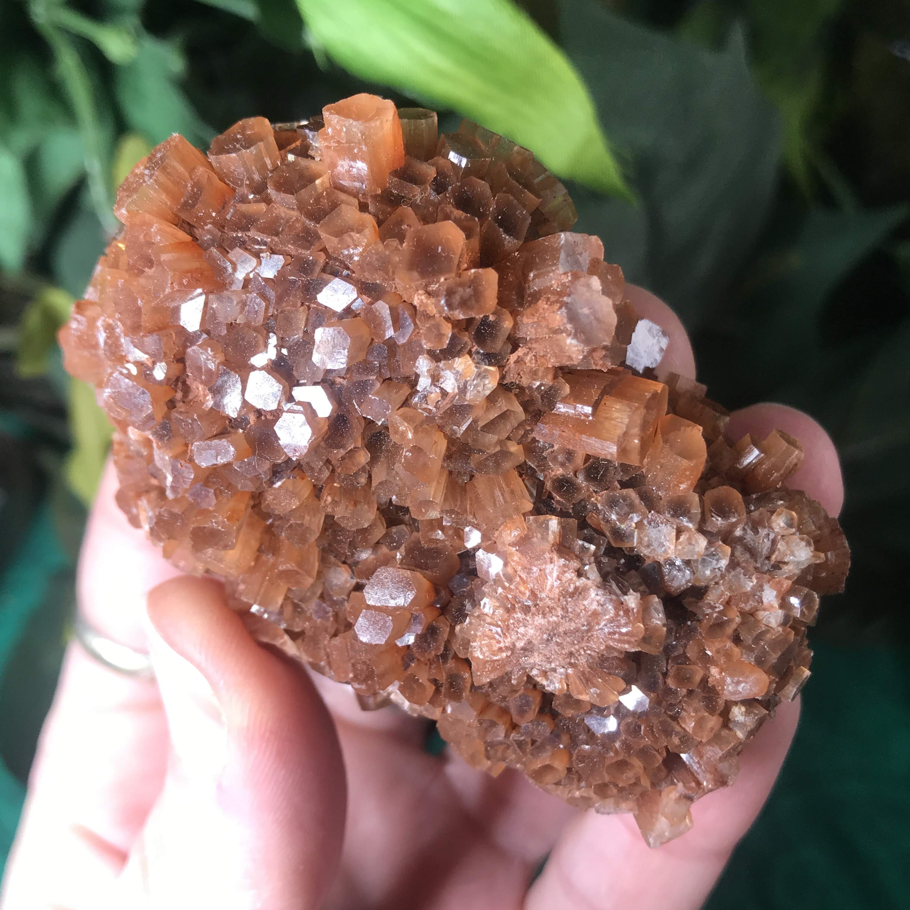 Aragonite- Bi-color & Red Aragonite Star Clusters Medium!