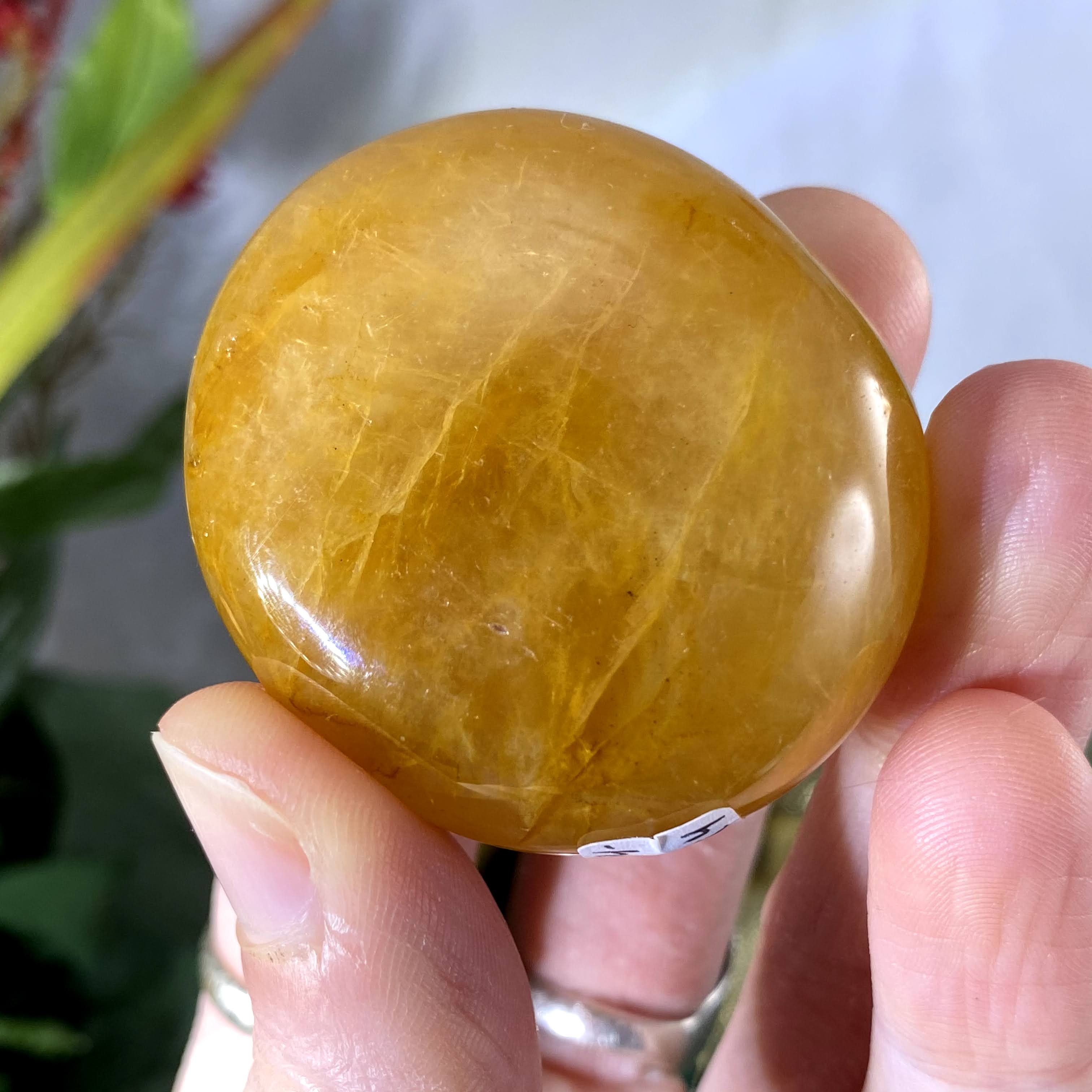 Hematoid Quartz- Golden Healer Quartz Heavenly Palm Stones! (A644/A646/A648/A649)