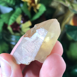 Citrine- Natural Citrine Points from Zambia
