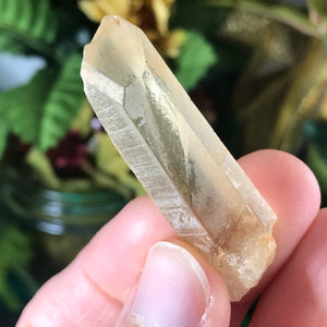 Citrine- Natural Citrine Points from Zambia