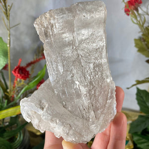 Selenite- True Selenite Mineral Specimen Big Beauty! C190