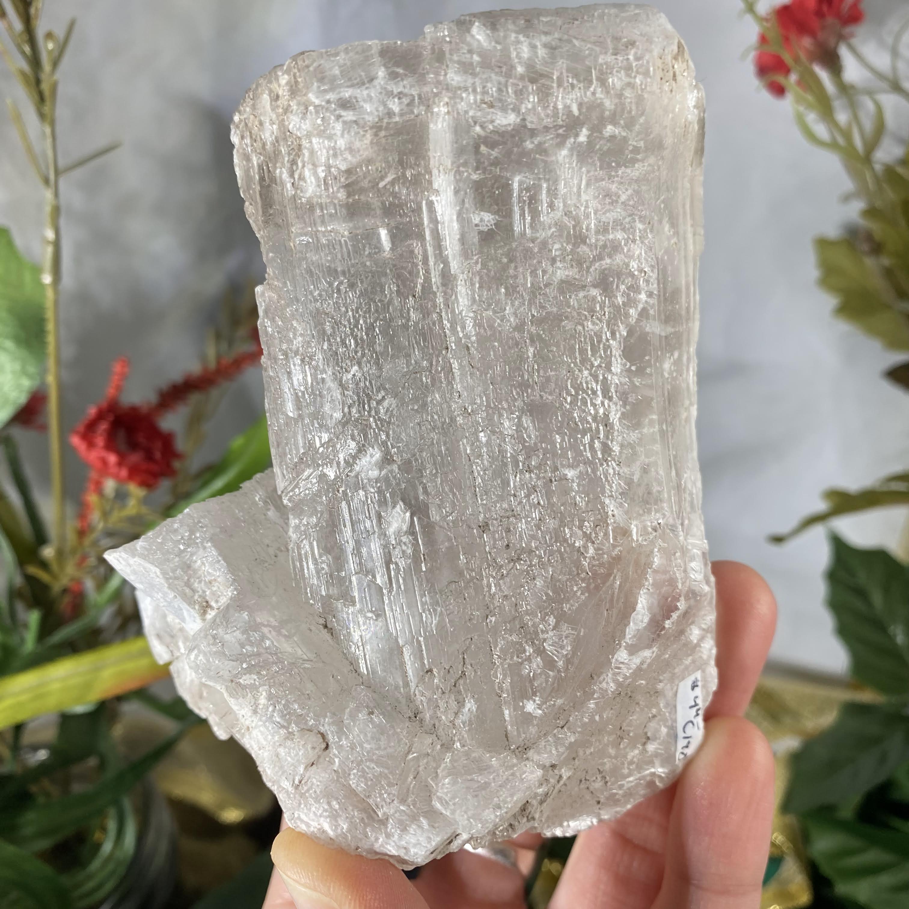 Selenite- True Selenite Mineral Specimen Big Beauty! C190