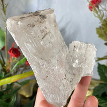 Load image into Gallery viewer, Selenite- True Selenite Mineral Specimen Big Beauty! C190