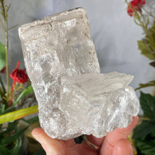 Load image into Gallery viewer, Selenite- True Selenite Mineral Specimen Big Beauty! C190