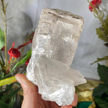 Load image into Gallery viewer, Selenite- True Selenite Mineral Specimen Big Beauty! C190