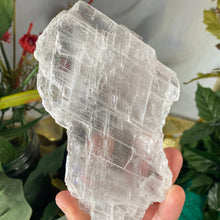 Load image into Gallery viewer, Selenite- True Selenite Mineral Specimen Big Beauty! C188