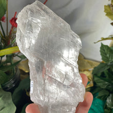 Load image into Gallery viewer, Selenite- True Selenite Mineral Specimen Big Beauty! C188