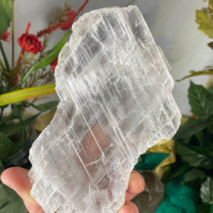 Selenite- True Selenite Mineral Specimen Big Beauty! C188