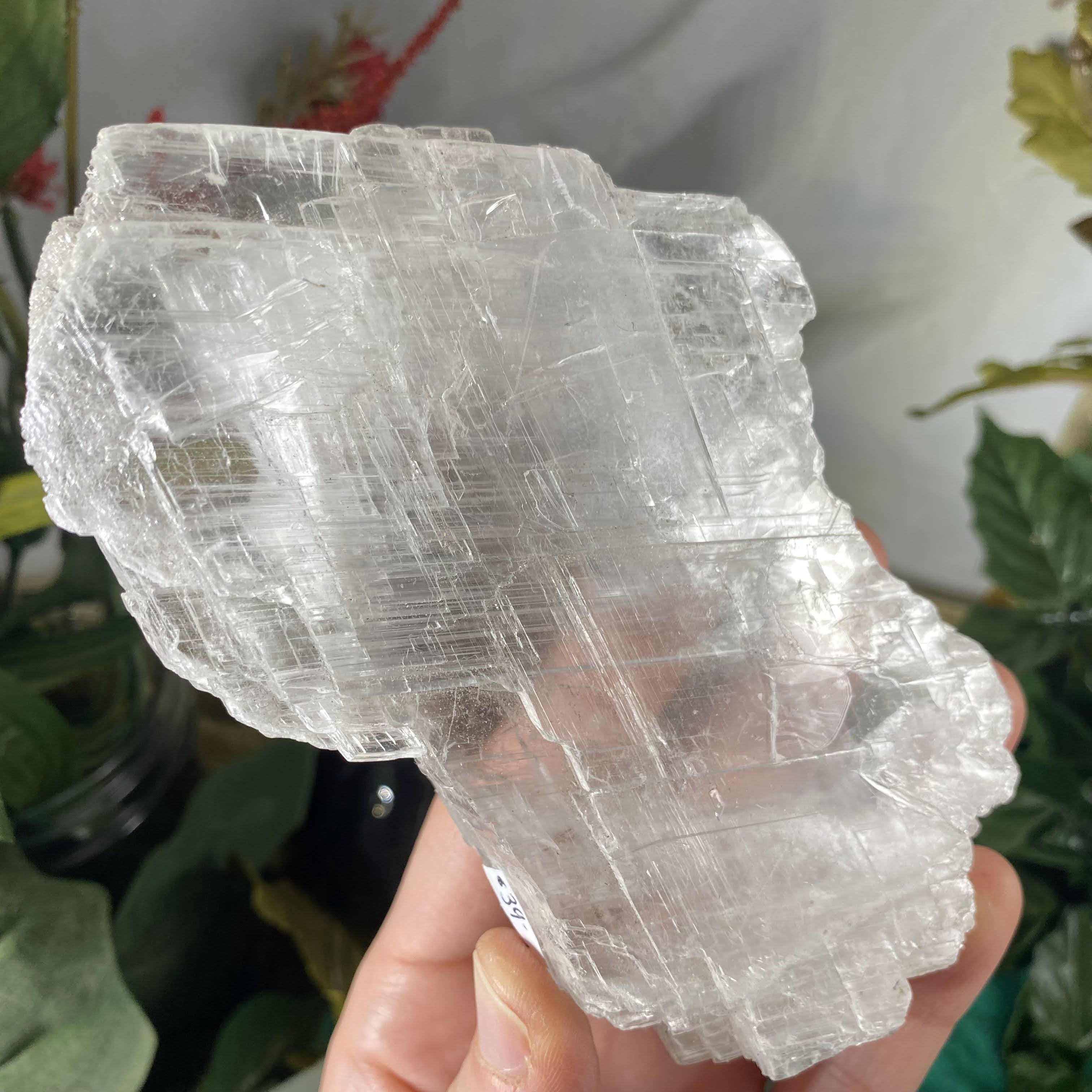 Selenite- True Selenite Mineral Specimen Big Beauty! C188