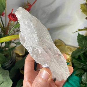 Selenite- True Selenite Mineral Specimen Big Beauty! C188