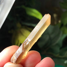 Load image into Gallery viewer, Citrine- Natural Citrine Points from Zambia (#15-#18)
