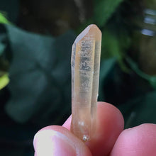 Load image into Gallery viewer, Citrine- Natural Citrine Points from Zambia (#15-#18)