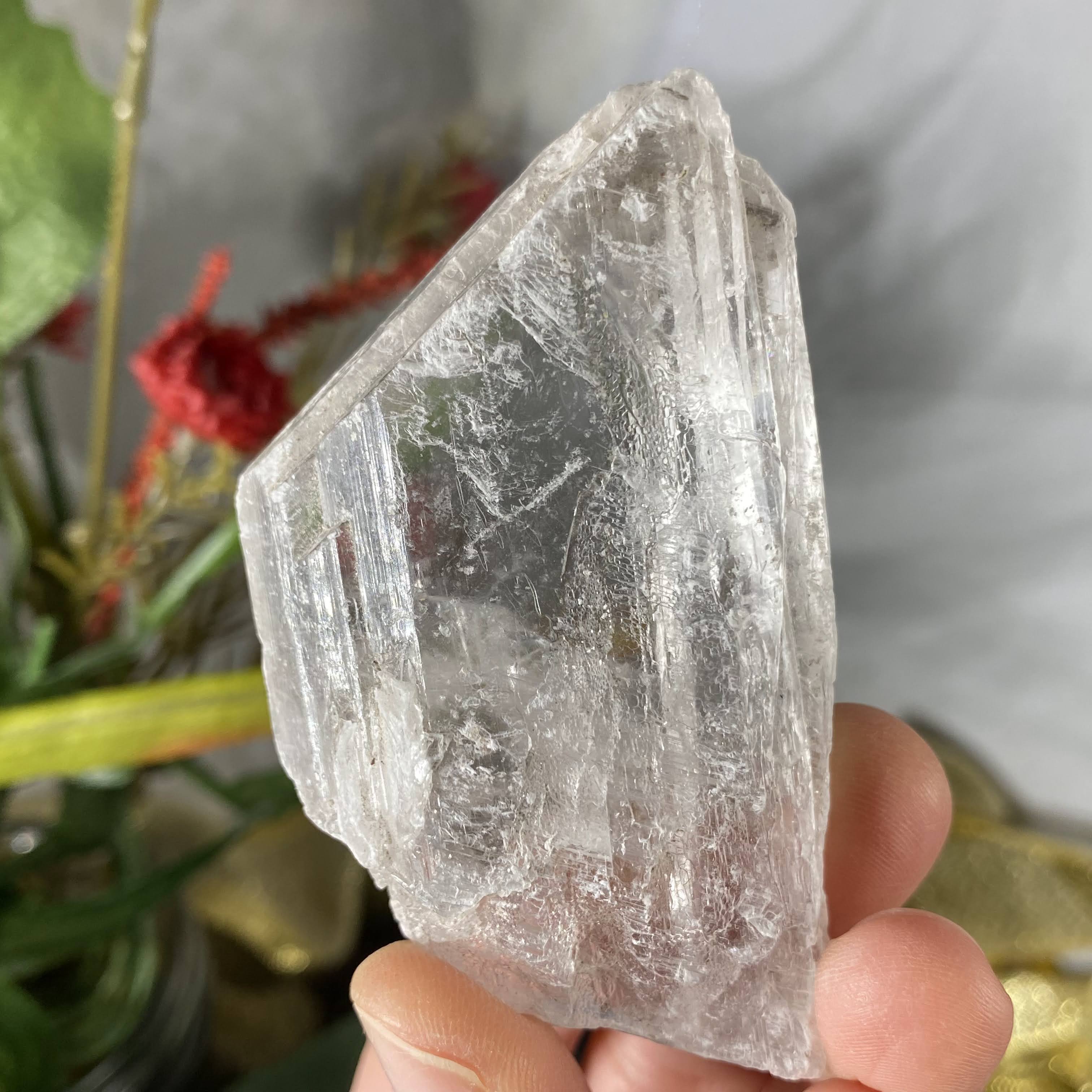 Selenite- True Selenite Mineral Specimen Choose Your Beauty! C172/C179/C189