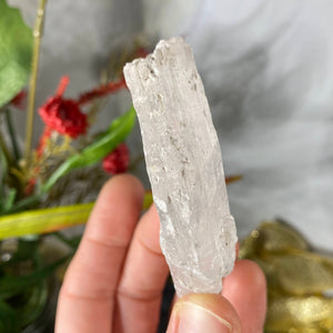 Selenite- True Selenite Mineral Specimen Choose Your Beauty! C172/C179/C189