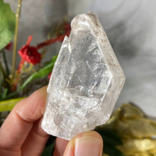 Load image into Gallery viewer, Selenite- True Selenite Mineral Specimen Choose Your Beauty! C172/C179/C189
