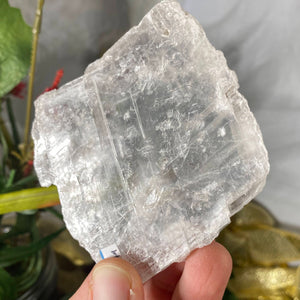 Selenite- True Selenite Mineral Specimen Choose Your Beauty! C172/C179/C189