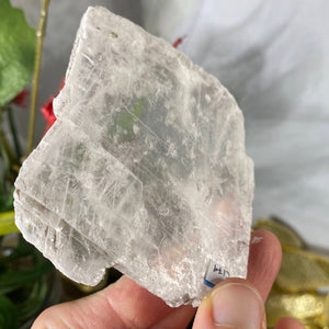 Selenite- True Selenite Mineral Specimen Choose Your Beauty! C172/C179/C189