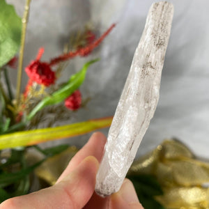 Selenite- True Selenite Mineral Specimen Choose Your Beauty! C172/C179/C189