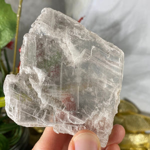 Selenite- True Selenite Mineral Specimen Choose Your Beauty! C172/C179/C189