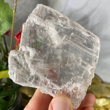 Load image into Gallery viewer, Selenite- True Selenite Mineral Specimen Choose Your Beauty! C172/C179/C189