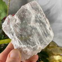 Load image into Gallery viewer, Selenite- True Selenite Mineral Specimen Choose Your Beauty! C172/C179/C189