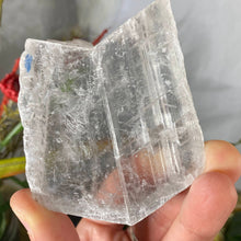 Load image into Gallery viewer, Selenite- True Selenite Mineral Specimen Choose Your Beauty! C172/C179/C189