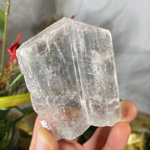 Selenite- True Selenite Mineral Specimen Choose Your Beauty! C172/C179/C189