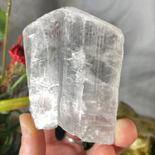 Load image into Gallery viewer, Selenite- True Selenite Mineral Specimen Choose Your Beauty! C172/C179/C189