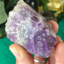 Load image into Gallery viewer, Fluorite - Purple Fujian Fluorite Unique Specimens! #835 #/838