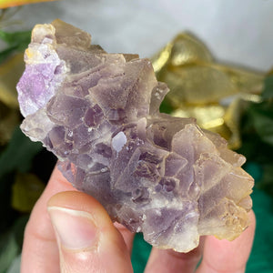 Fluorite - Purple Fujian Fluorite Unique Specimens! #835 #/838
